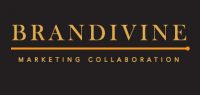Brandivine-Logo-100-x-100px.jpeg