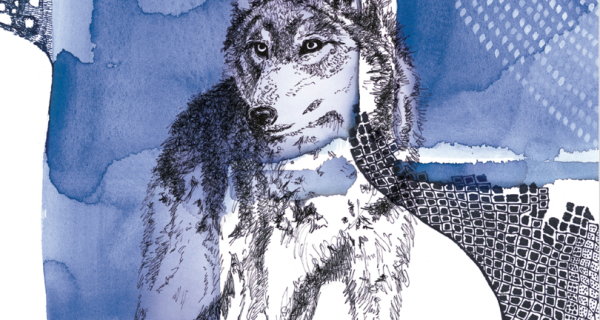 Brand strategy illustration featuring a wolf in blue and black