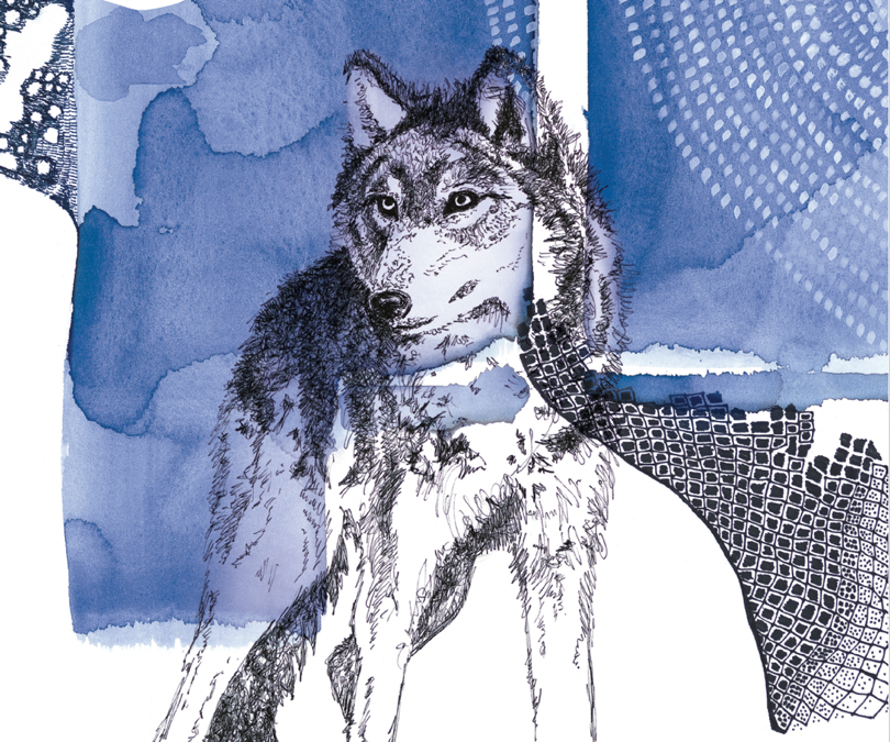 Brand strategy illustration featuring a wolf in blue and black